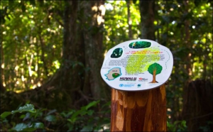 Niue Showcases its Biodiversity